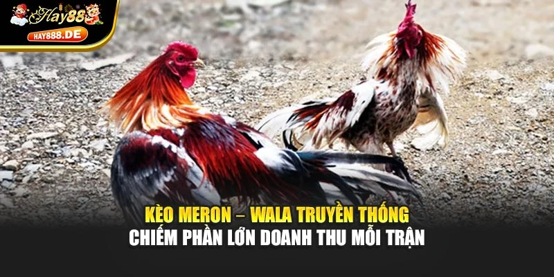 Kèo Meron – Wala truyền thống chiếm phần lớn doanh thu mỗi trận