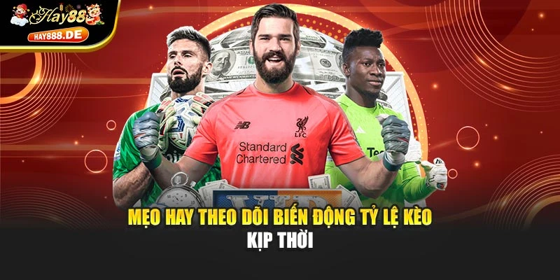 Mẹo hay theo dõi biến động tỷ lệ kèo kịp thời